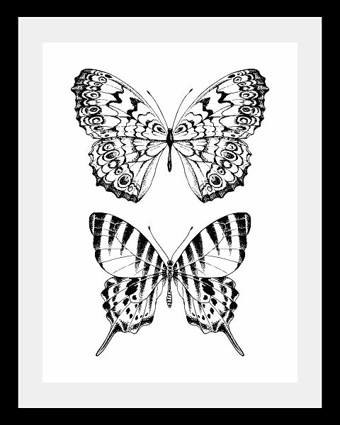 queence Bild »Schmetterlinge«, Tiere-Schwarz-Weiß-Kunst-Insekten-Schmetterl günstig online kaufen