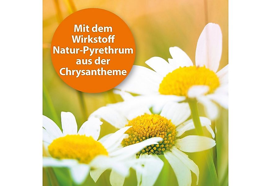 Ardap Insektenspray Ardap Spot-On für Kleintiere 1-4 kg 3 x 0.4 ml günstig online kaufen