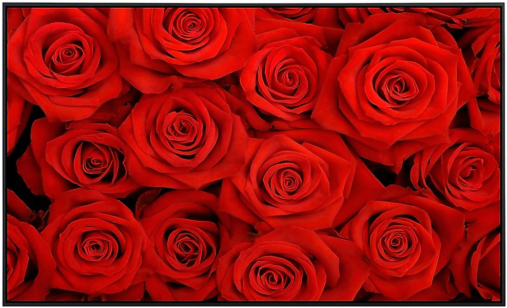 Papermoon Infrarotheizung »Rote Rosen« günstig online kaufen