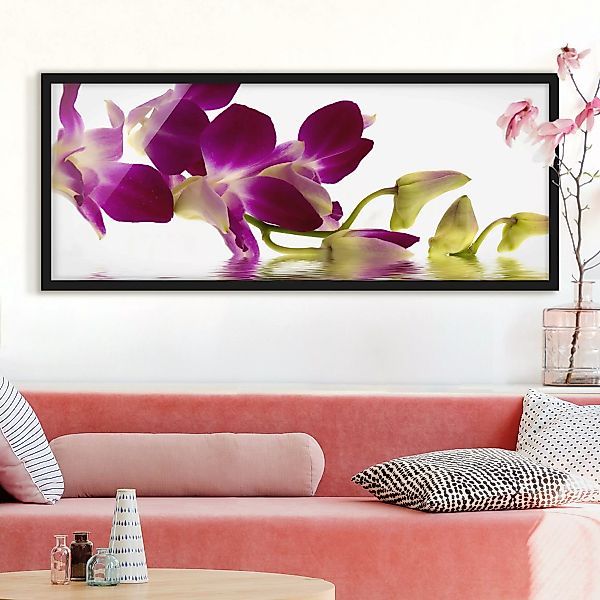 Bild mit Rahmen Blumen - Panorama Pink Orchid Waters günstig online kaufen