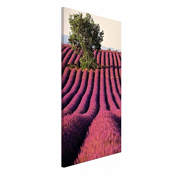 Magnettafel - Hochformat 3:4 Lavender günstig online kaufen