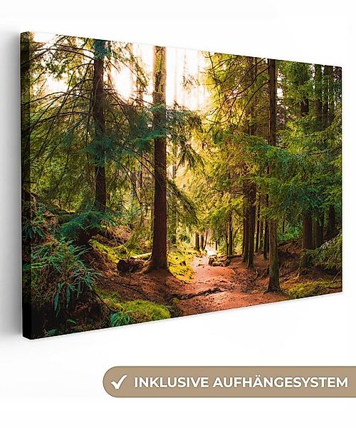OneMillionCanvasses® Leinwandbild Wald - Weg - Bäume - Grün - Sonne - Natur günstig online kaufen