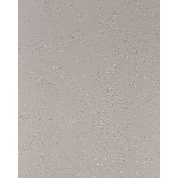 WALLFACE 24970 RAW Pale Grey Wandverkleidung in Beton Optik Matt Beige 2,6 günstig online kaufen