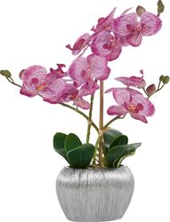 Kunstpflanze Orchidee, Home affaire, Höhe 38 günstig online kaufen
