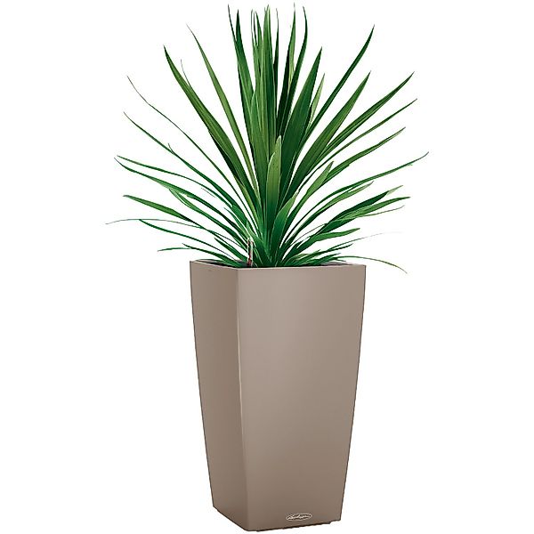 Lechuza Pflanzgefäß Cubico Color 40 cm x 40 cm x 75 cm Sandbraun günstig online kaufen
