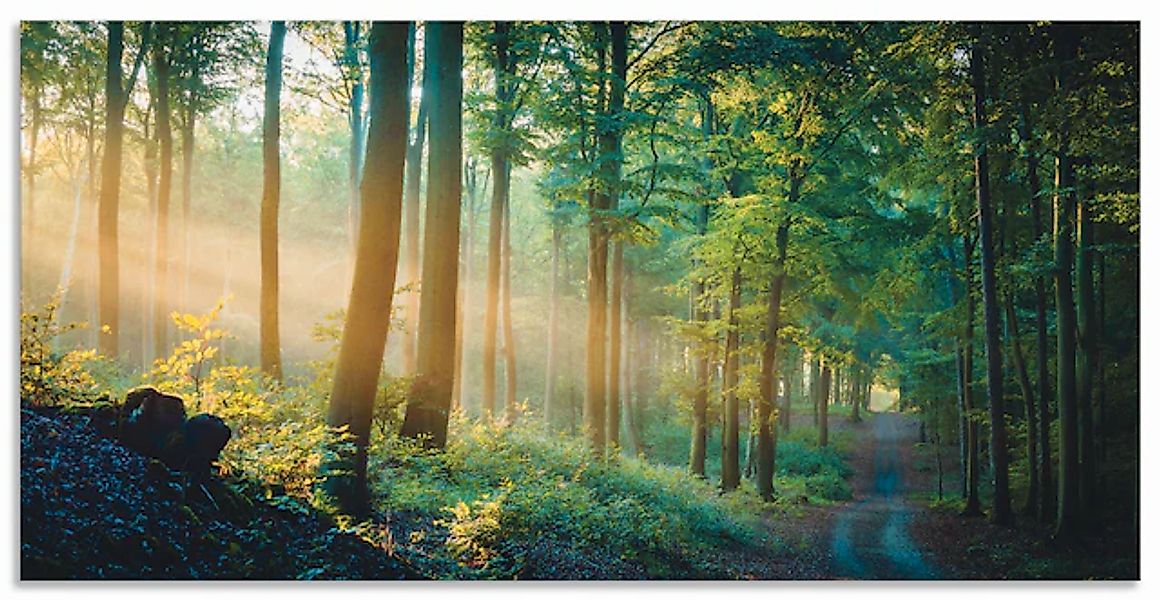 Artland Wandbild »Herbstmorgen im Wald« Waldbilder 1 Stk. tlg. als Alubild, günstig online kaufen