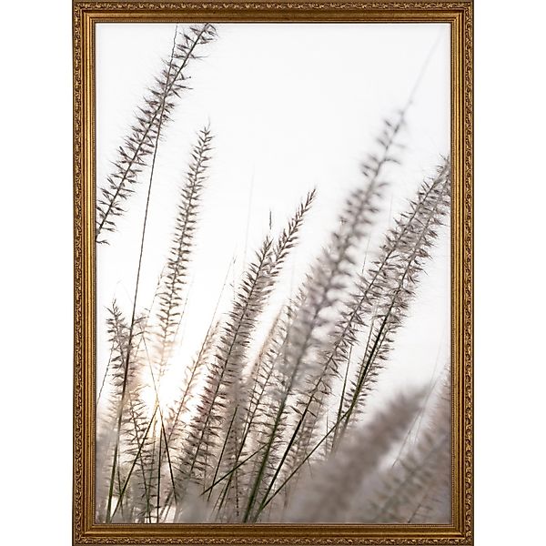 Holzbilderrahmen Gold Verschnörkelt 50 cm x 70 cm günstig online kaufen