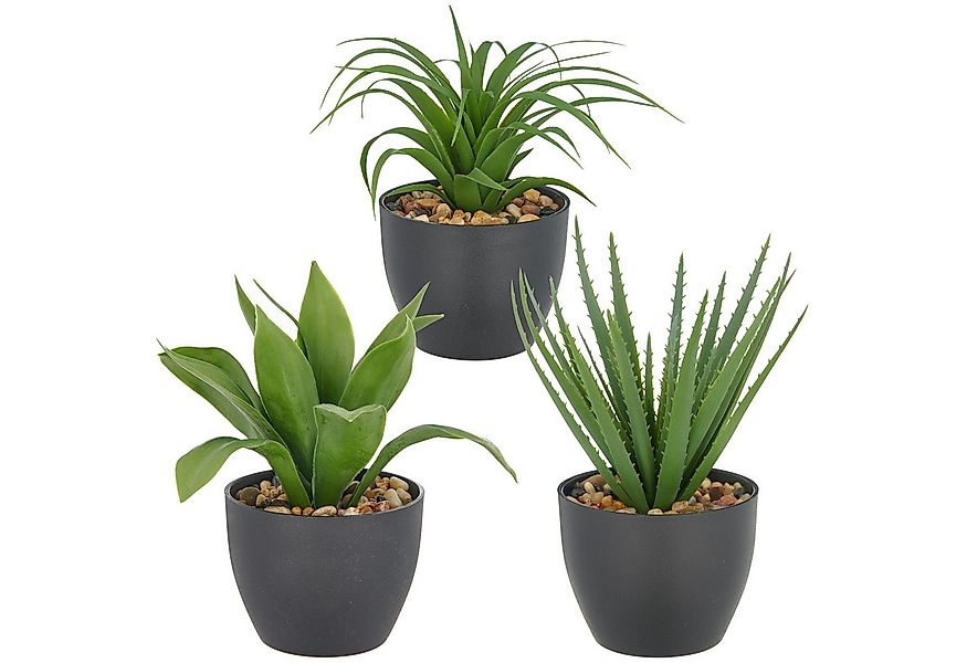 Kunstpflanze Sukkulenten, Creativ green, Höhe 20 cm, mit dekorativem Kies günstig online kaufen