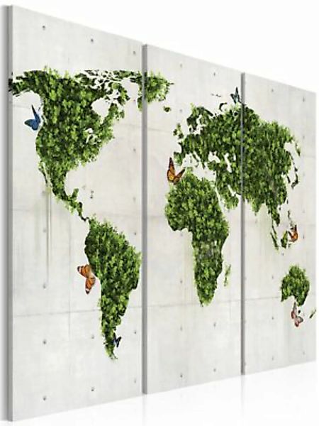 artgeist Wandbild Grünes Land der Schmetterlinge - Triptychon grün/grau Gr. günstig online kaufen