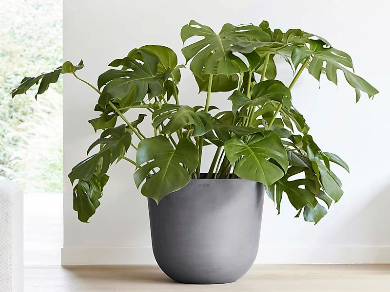 ECOPOTS Blumentopf "Oslo 45 + Wassersystem Grau", für innen und außen: fros günstig online kaufen