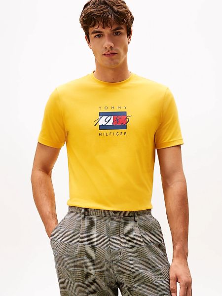 Tommy Hilfiger T-Shirt "LINEAR FLAG GRAPHIC", Rundhals, regular fit, Jersey günstig online kaufen