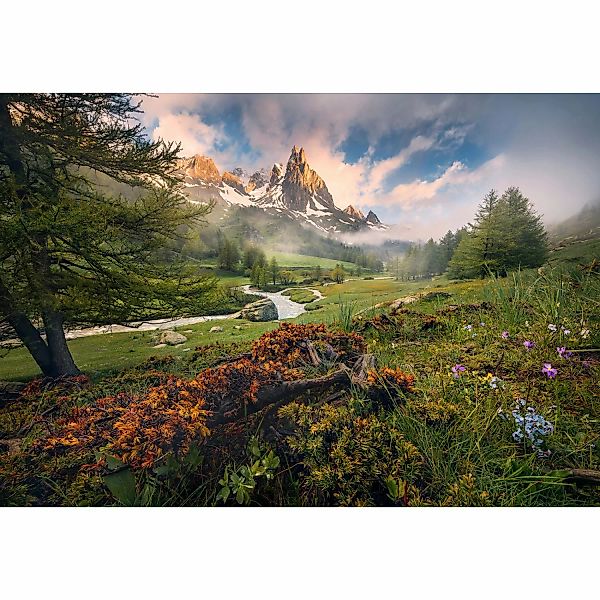 Komar Tapete Morning Walk 368 x 254 cm günstig online kaufen