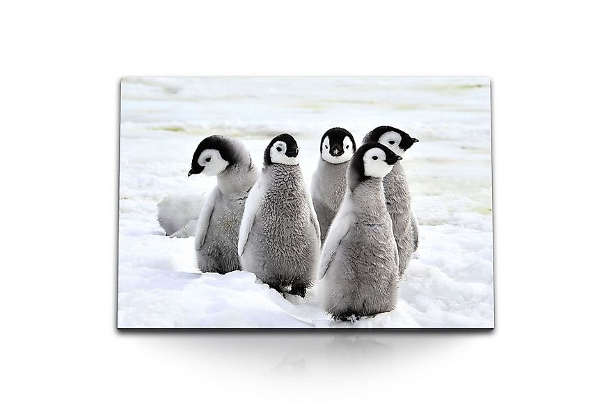 Sinus Art Leinwandbild 120x80cm Wandbild auf Leinwand Kleine Pinguine Babyp günstig online kaufen