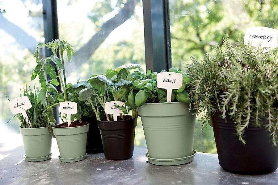 Elho Pflanzkübel green basics anzuchttopf 35cm günstig online kaufen