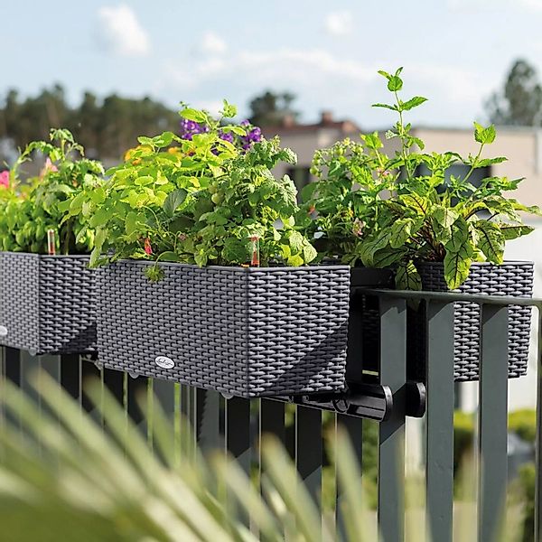 Lechuza® Balkonkasten Lechuza Balkonkasten Balconera Cottage günstig online kaufen