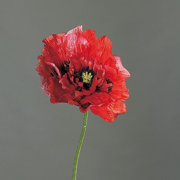Kunstblume Rot, Durchmesser 12 cm, DPI, günstig online kaufen
