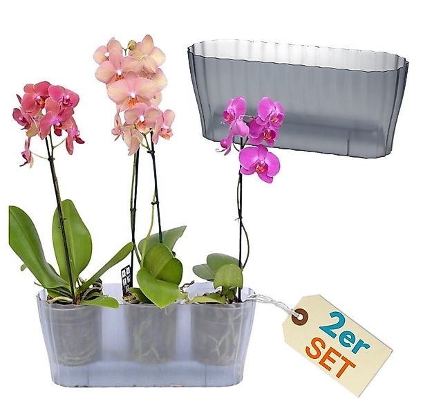 GarPet Blumentopf 2er Set Orchideentopf Transparent Orchideen Über groß rau günstig online kaufen
