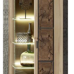 Wandvitrine in Wildeiche Hirnholz Optik modern günstig online kaufen