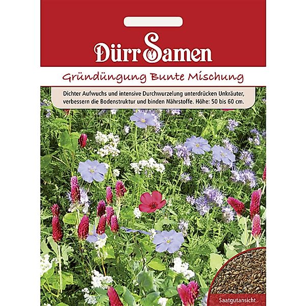 Dürr Samen Gründüngung Bunte Mischung 50 G Saatgut günstig online kaufen