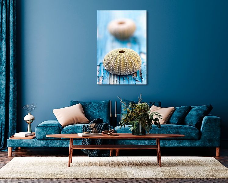 queence Acrylglasbild »Emar« Kunst   Tiere   Wassertiere   Wildtiere 1 Stk. günstig online kaufen
