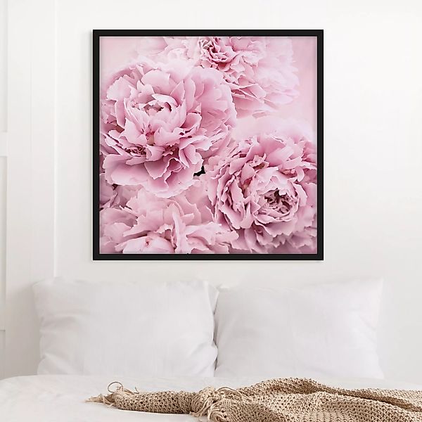 Bild mit Rahmen Blumen - Quadrat Rosa Pfingstrosen günstig online kaufen