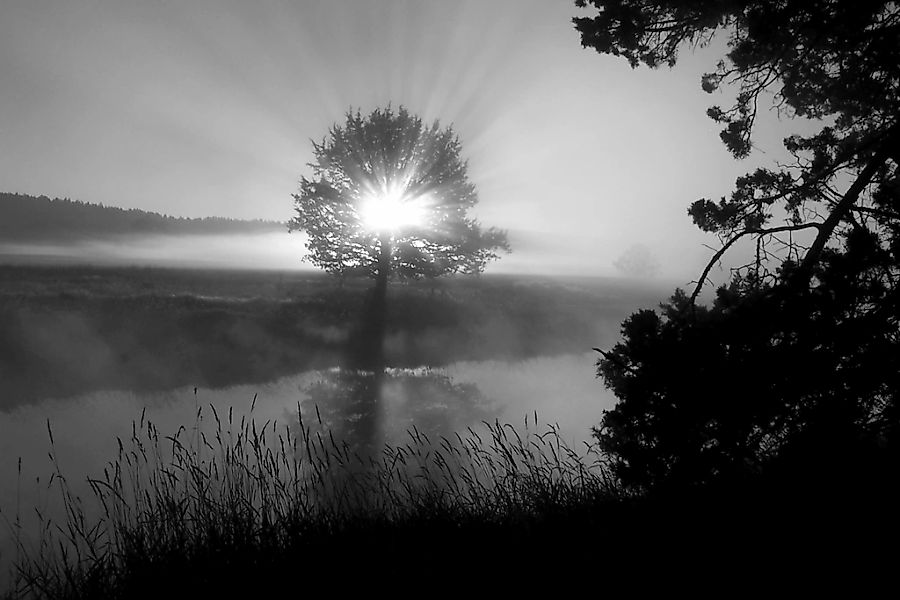 Papermoon Fototapete "Landschaft schwarz & weiß" günstig online kaufen