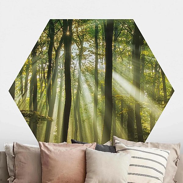 Hexagon Fototapete selbstklebend Sonnentag im Wald günstig online kaufen