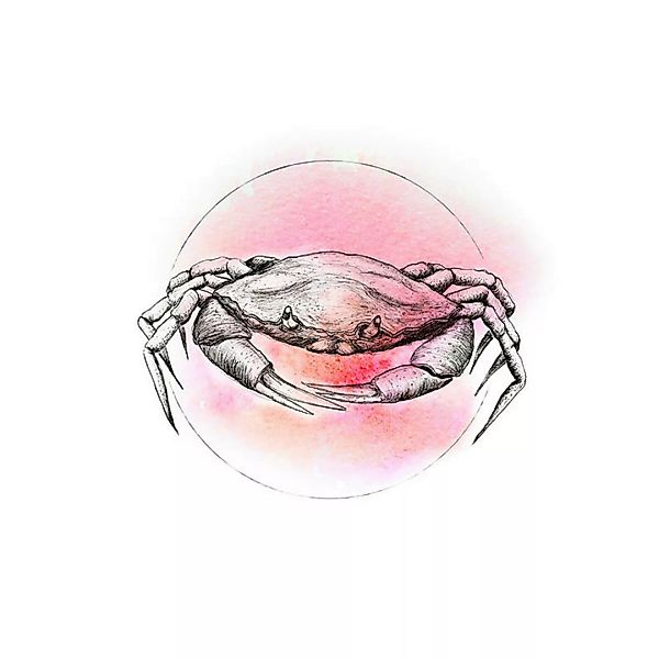 Komar Wandbild Crab Watercolor Tiere B/L: ca. 30x40 cm günstig online kaufen