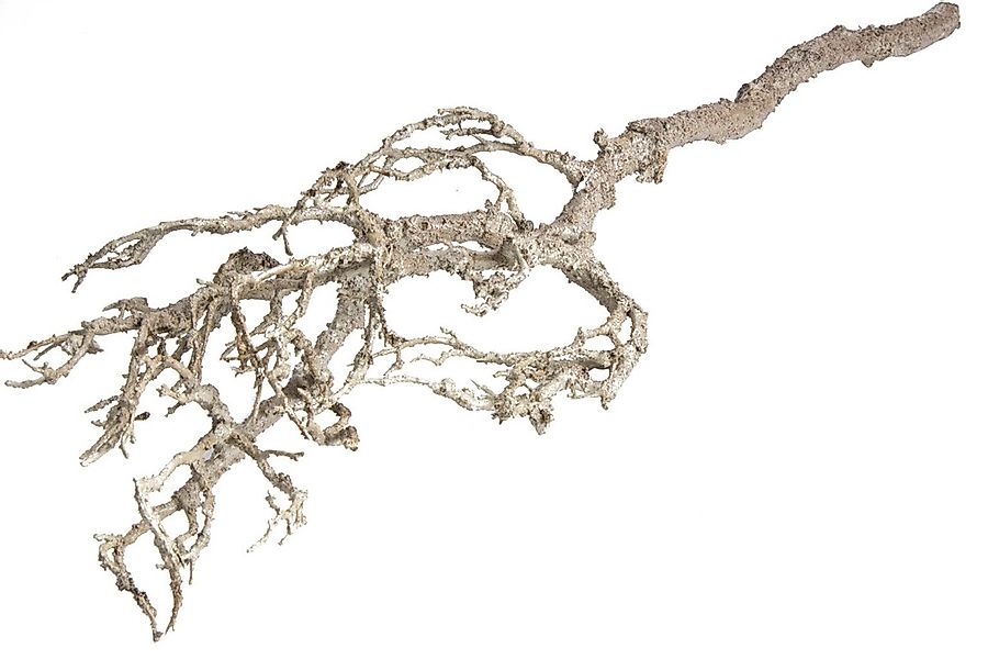 Botanic-Haus Kunstzweig "Deko-Ast" günstig online kaufen