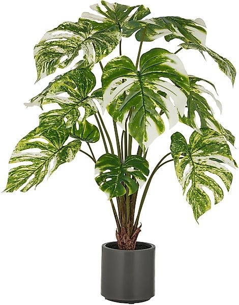 Creativ green Kunstpflanze "Splitphilodendron", mit naturgetreuem Blattwerk günstig online kaufen