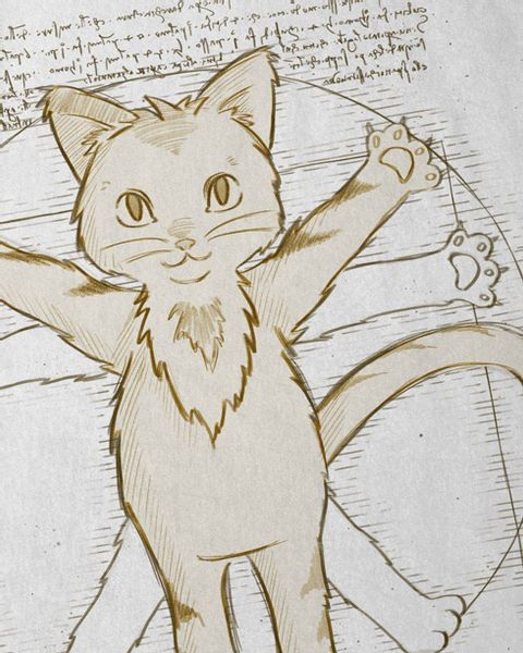 style3 T-Shirt Vitruvianische Katze kätzchen kitten günstig online kaufen