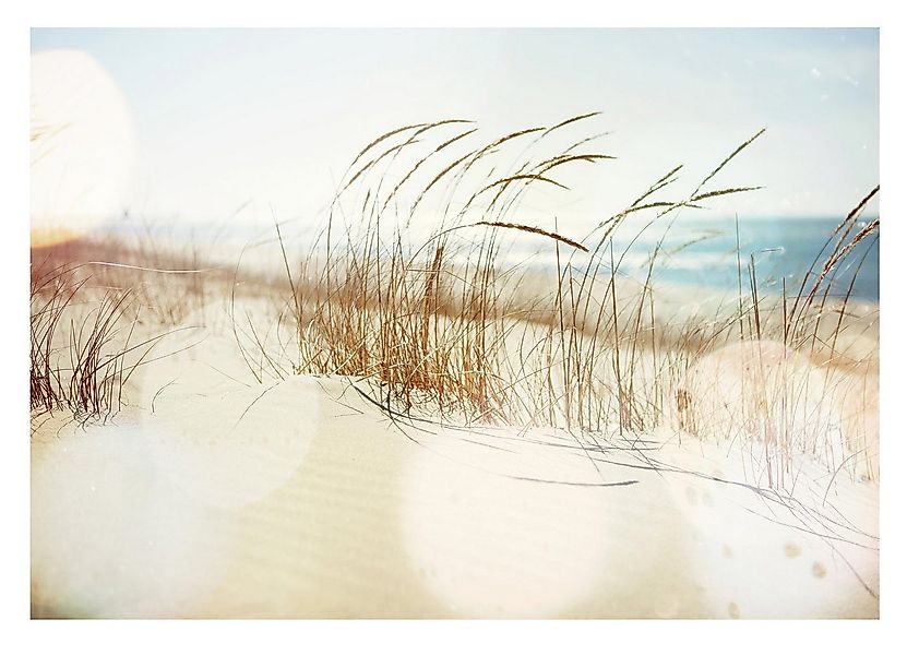 Wallarena Fototapete Strand Meer Natur Vlies Tapete Wohnzimmer Schlafzimmer günstig online kaufen