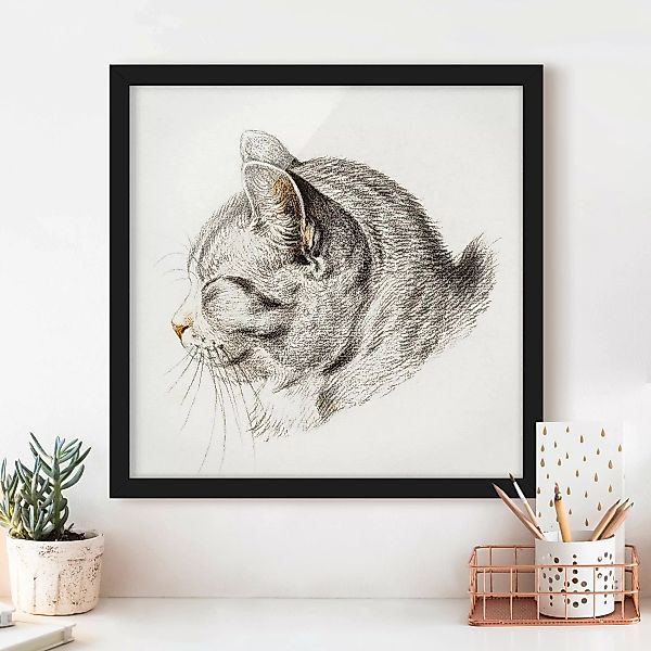 Bild mit Rahmen Tiere - Quadrat Vintage Zeichnung Katze III günstig online kaufen