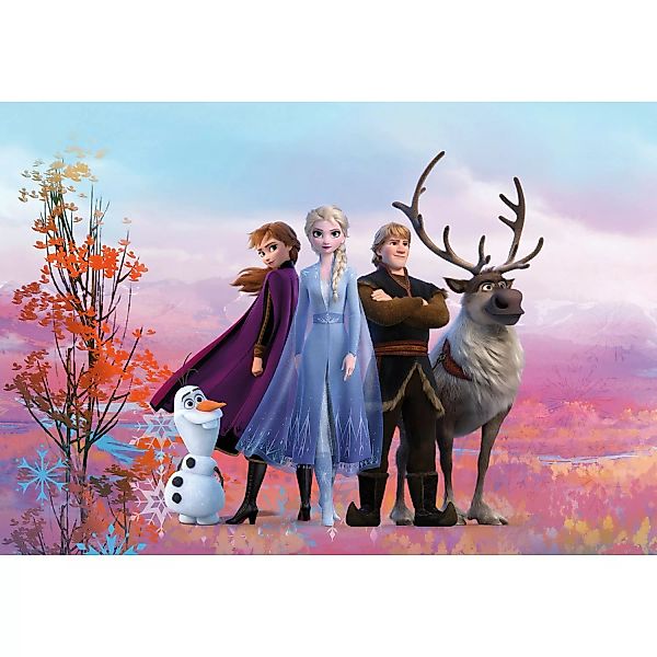 Komar Fototapete Frozen Iconic  368 x 254 cm günstig online kaufen