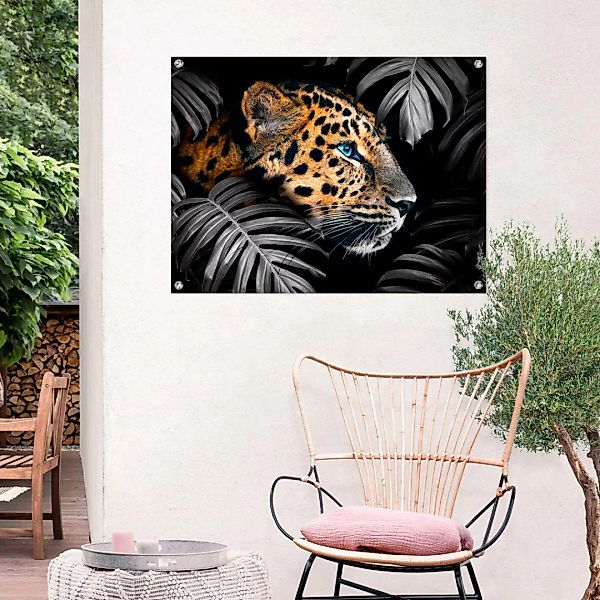 Reinders! Poster »Leopard« günstig online kaufen