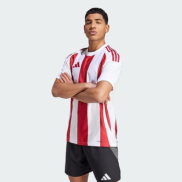 adidas Performance Trainingstop STRIPED 24 TRIKOT günstig online kaufen