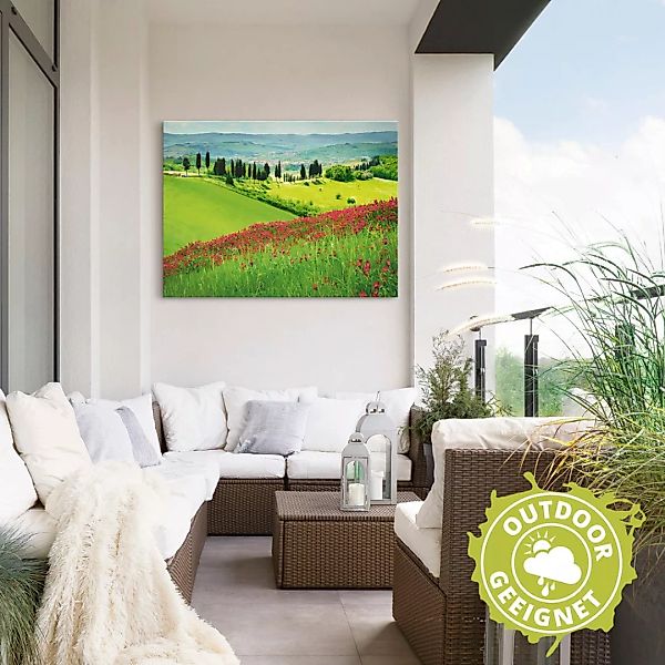 Artland Wandbild "Hügel und Zypressen", Felder, (1 St.) günstig online kaufen