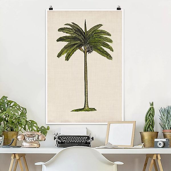Poster Blumen - Hochformat Britische Palmen IV günstig online kaufen