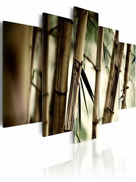 artgeist Wandbild Bambus in tropischen Wäldern mehrfarbig Gr. 200 x 100 günstig online kaufen