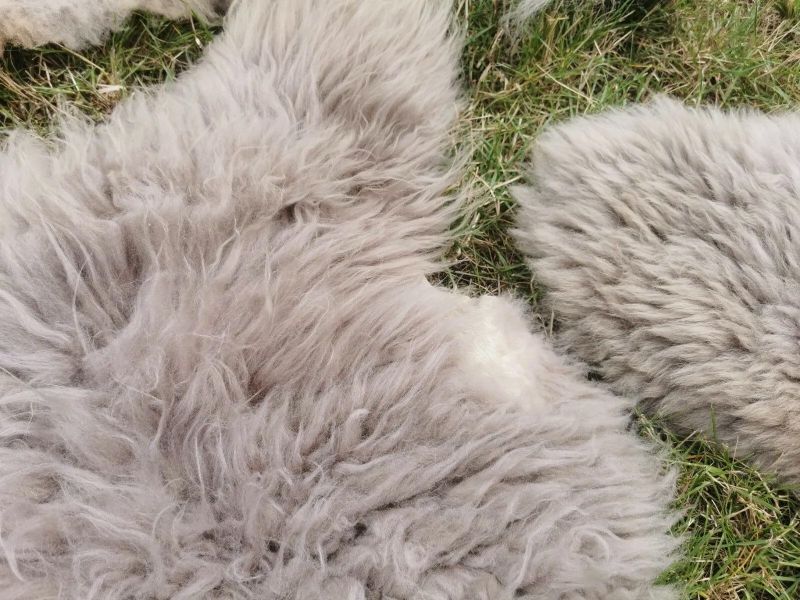 Provellus Fellteppich Öko Schaffell Lammfell Taupe günstig online kaufen