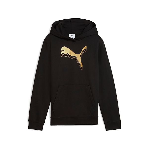 PUMA Kapuzensweatshirt ESS METALLIC HOODIE FL günstig online kaufen