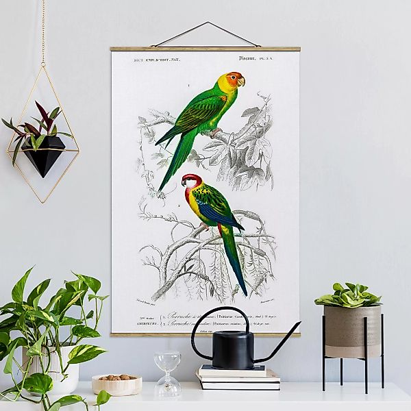 Stoffbild Tiere mit Posterleisten - Hochformat Vintage Lehrtafel Zwei Papag günstig online kaufen