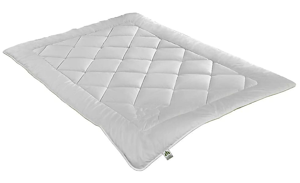 irisette GREENLINE Naturhaarbettdecke Steppbett Irisette Greenline günstig online kaufen