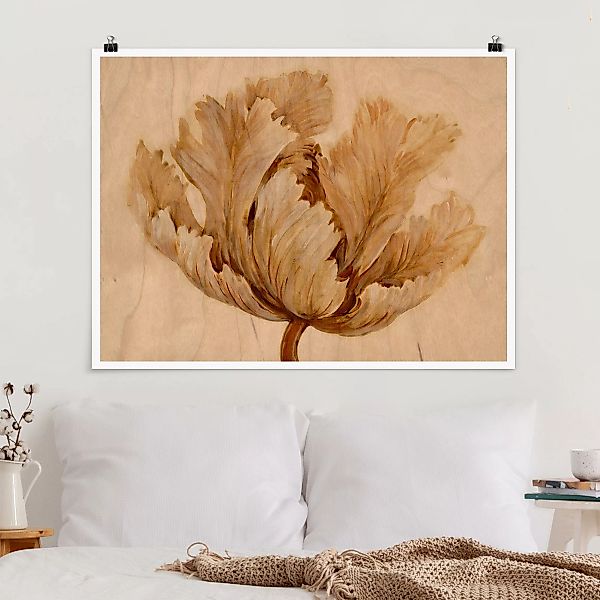 Poster Sepia Tulpe auf Holz günstig online kaufen