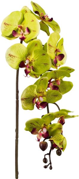 Kunstpflanze Orchidee, Creativ green, Höhe 98 günstig online kaufen