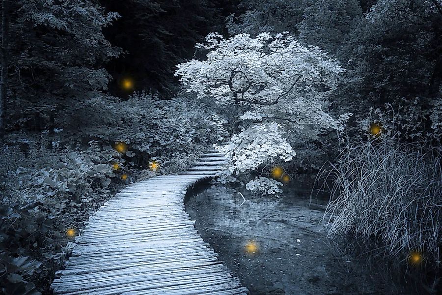 Papermoon Fototapete "Steg über Teich Schwarz & Weiß" günstig online kaufen