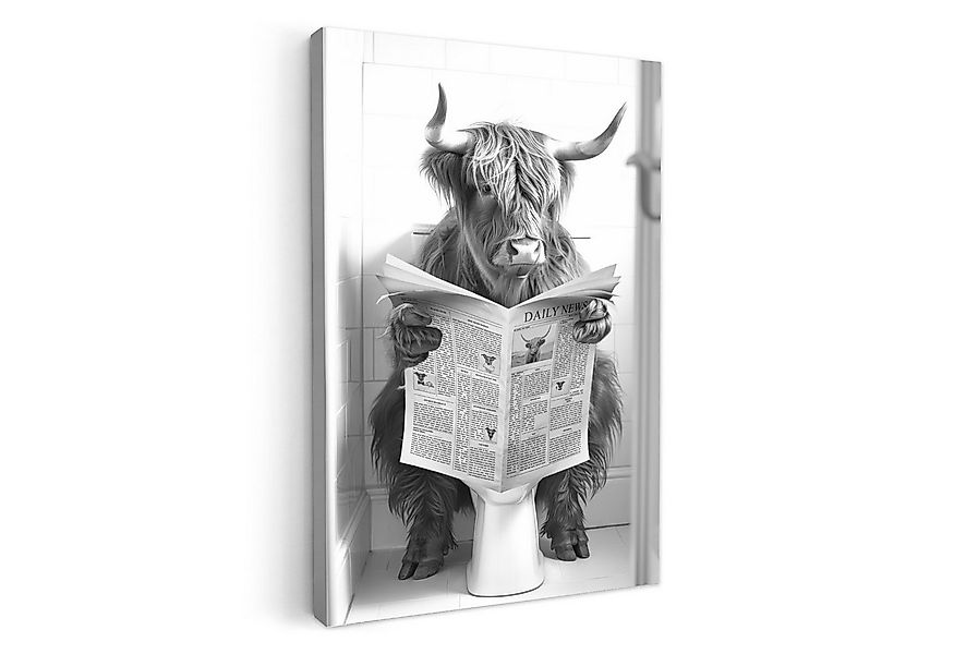 OneMillionCanvasses® Leinwandbild Schottischer Hochländer - Tier - Zeitung günstig online kaufen
