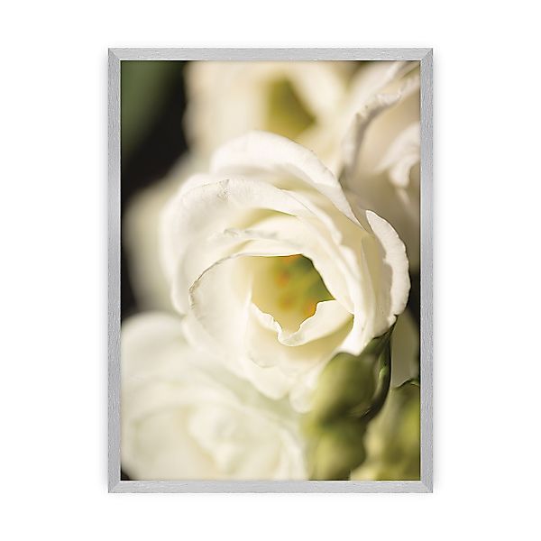 Poster Flower Wall, 40 x 50 cm, Rahmen wählen: silber günstig online kaufen