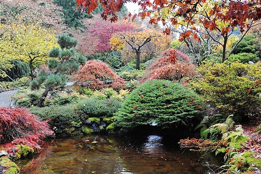 Papermoon Fototapete »Teich im Garten« günstig online kaufen