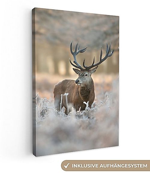 OneMillionCanvasses® Leinwandbild Hirsche - Tiere - Winter, Fotodruck (1 St günstig online kaufen
